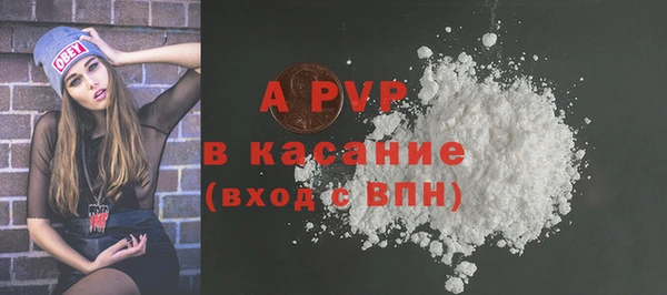 твердый Богданович