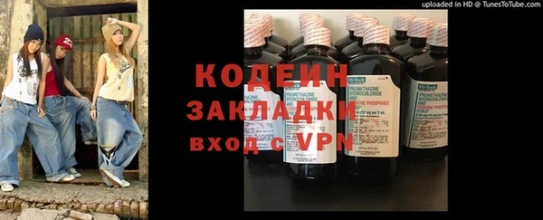 твердый Богданович