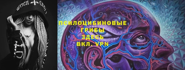 твердый Богданович