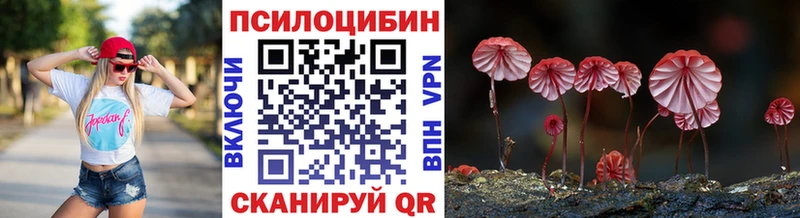Купить где  Ленинск  Галлюциногенные грибы прущие грибы 